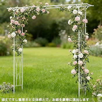 Amazon | Susire パーゴラ ガーデンアーチ バラ フラワーアーチ